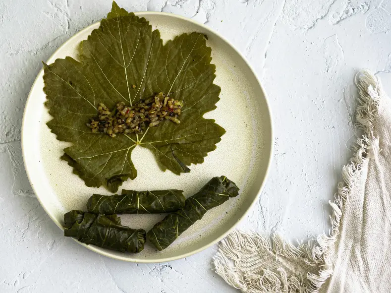 Dolma on a plate with dolma ingredients